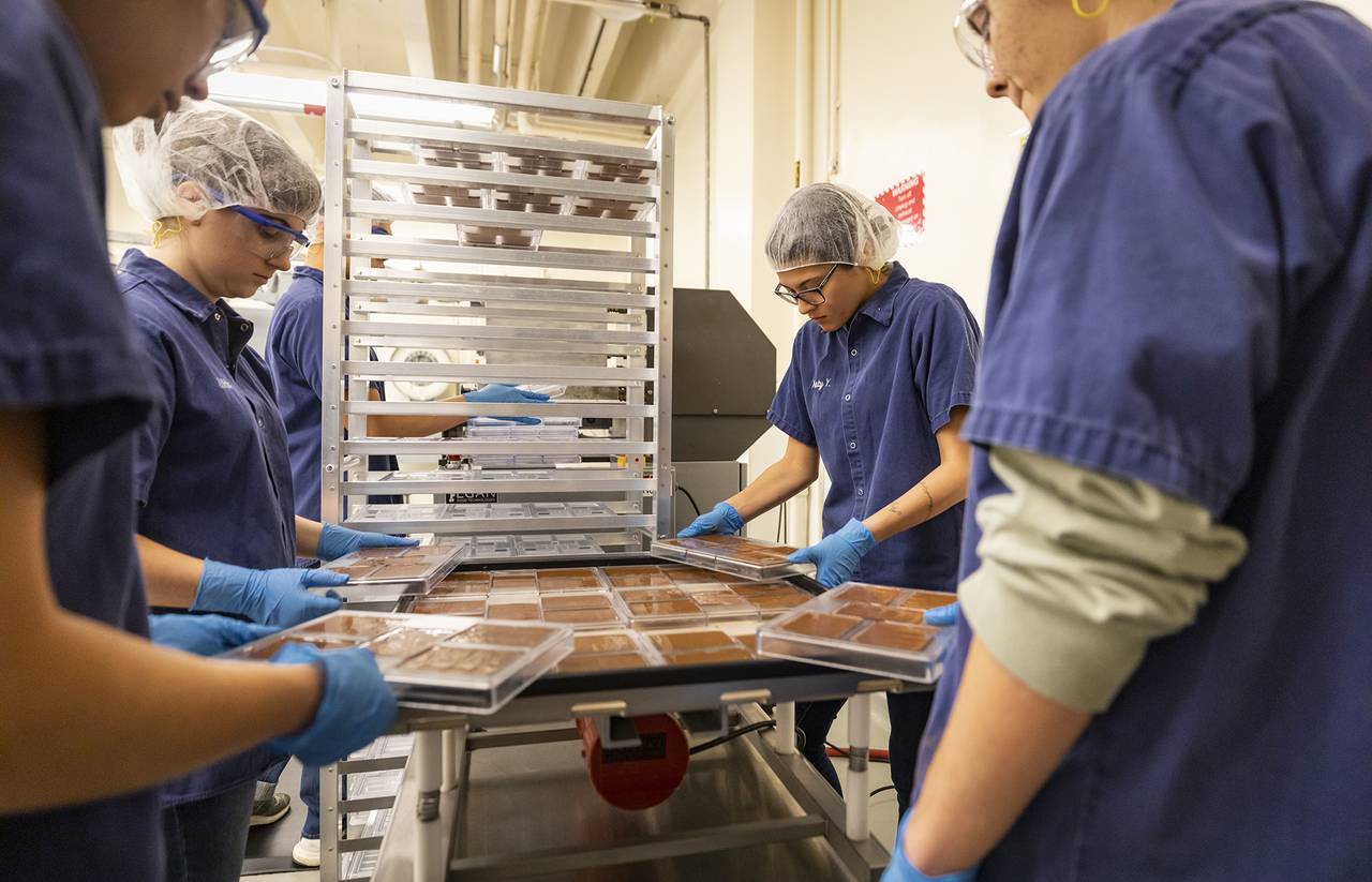 Cal Poly students in hairnets and gloves packaging chocolate bars on trays in a food production lab.